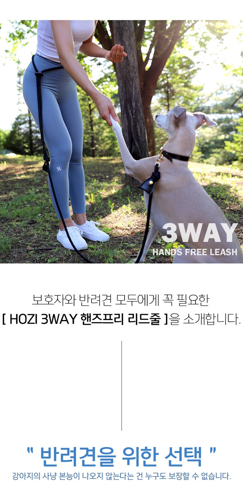2.강아지 핸즈프리 리드줄 hozipet.co.kr 고급애견용품